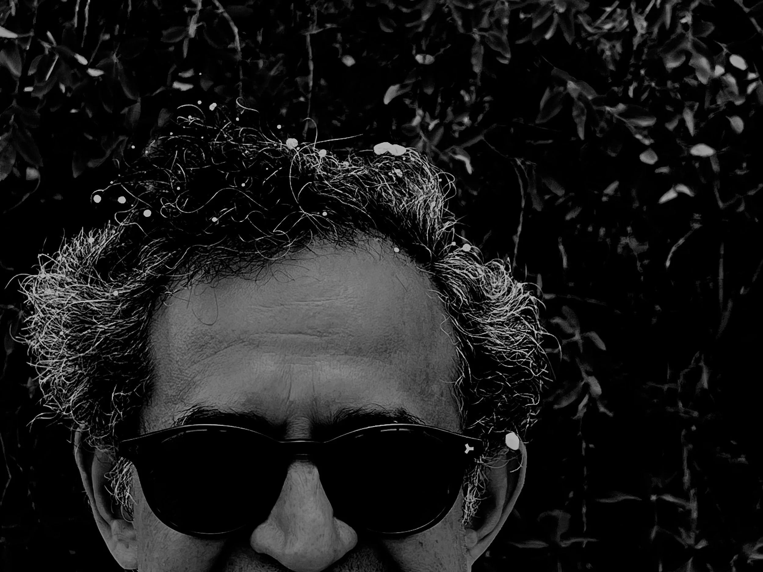 Portraits — 2